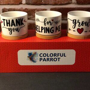 Colorful Parrot Appreciation Succulent Pot Trio